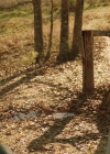 VampireDiariesWorld-dot-nl-Legacies2x15LifeWasSoMuchEasierWhenIOnlyCaredAboutMyself0297.jpg
