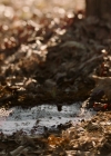 VampireDiariesWorld-dot-nl-Legacies2x15LifeWasSoMuchEasierWhenIOnlyCaredAboutMyself0306.jpg