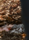 VampireDiariesWorld-dot-nl-Legacies2x15LifeWasSoMuchEasierWhenIOnlyCaredAboutMyself0307.jpg