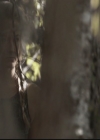 VampireDiariesWorld-dot-org_TheOriginals1x08TheRiverInReverse0281.jpg