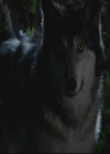 VampireDiariesWorld-dot-org_TheOriginals1x3CresentCity0968.jpg