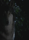 VampireDiariesWorld-dot-org_TheOriginals1x3CresentCity0975.jpg