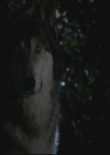 VampireDiariesWorld-dot-org_TheOriginals1x3CresentCity0983.jpg