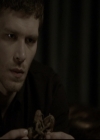 VampireDiariesWorld-dot-org_TheOriginals1x16FarewellToStoryville2292.jpg