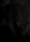 VampireDiariesWorld-dot-org_TheOriginalsS1-TheOriginalVampires-ABiteSizesStory0103.jpg