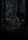 VampireDiariesWorld-dot-org_TheOriginalsS1-TheOriginalVampires-ABiteSizesStory0105.jpg