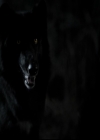 VampireDiariesWorld-dot-org_TheOriginalsS1-TheOriginalVampires-ABiteSizesStory0107.jpg