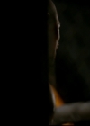 VampireDiariesWorld-dot-nl_TheOriginals_3x01ForTheMillemnium2077.jpg