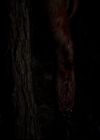 VampireDiariesWorld-dot-nl_TheOriginals_3x02YouHungTheMoon0037.jpg