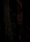 VampireDiariesWorld-dot-nl_TheOriginals_3x02YouHungTheMoon0038.jpg