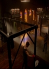 VampireDiariesWorld-dot-nl_TheOriginals_3x04AWalkOnTheWildSide0158.jpg