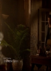 VampireDiariesWorld-dot-nl_TheOriginals_3x04AWalkOnTheWildSide0191.jpg