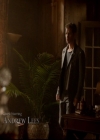 VampireDiariesWorld-dot-nl_TheOriginals_3x04AWalkOnTheWildSide0192.jpg