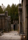 VampireDiariesWorld-dot-nl_TheOriginals_3x12DeadAngels0189.jpg