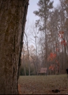 VampireDiariesWorld-dot-nl_TheOriginals_3x13HeartShapedBox0402.jpg