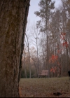 VampireDiariesWorld-dot-nl_TheOriginals_3x13HeartShapedBox0403.jpg