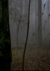 VampireDiariesWorld-dot-nl_TheOriginals_3x13HeartShapedBox0706.jpg