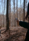 VampireDiariesWorld-dot-nl_TheOriginals_3x13HeartShapedBox1364.jpg