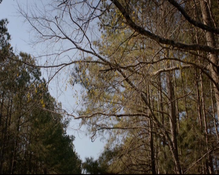 VampireDiariesWorld-dot-nl_TheOriginals_3x17BehindTheBlackHorizon0623.jpg