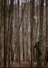 VampireDiariesWorld-dot-nl_TheOriginals_3x20WhereNothingStaysBuried0727.jpg