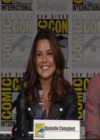 VampireDiariesWorld-dot-nl_TheOriginals_Season3-2015ComicConPanel1069.jpg