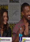 VampireDiariesWorld-dot-nl_TheOriginals_Season3-2015ComicConPanel1193.jpg