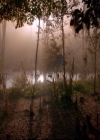 VampireDiariesWorld-dot-nl_TheOriginals_Season3ComeVisitGeorgiaPSA0053.jpg