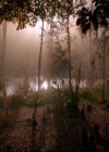 VampireDiariesWorld-dot-nl_TheOriginals_Season3ComeVisitGeorgiaPSA0054.jpg