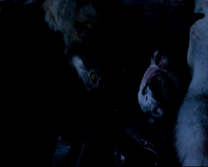 VampireDiariesWorld-dot-nl_TheOriginals_3x01FortheNextMillennium-deletedscenes0056.jpg