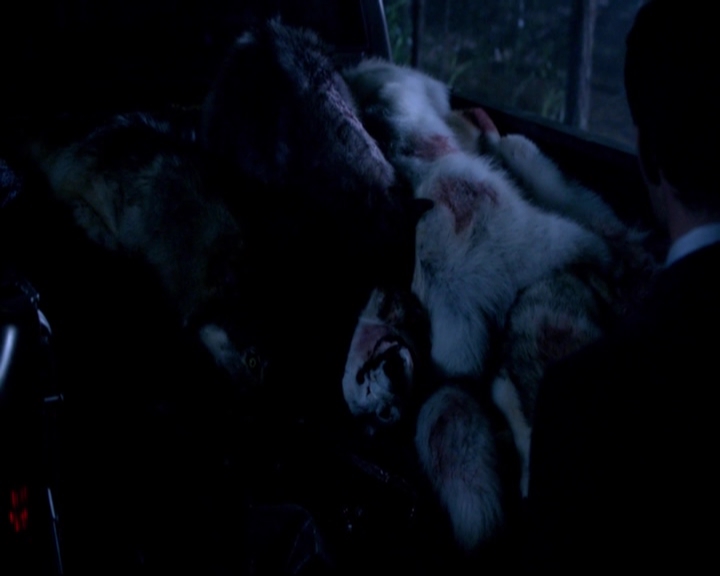 VampireDiariesWorld-dot-nl_TheOriginals_3x01FortheNextMillennium-deletedscenes0065.jpg