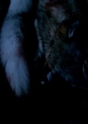 VampireDiariesWorld-dot-nl_TheOriginals_3x01FortheNextMillennium-deletedscenes0059.jpg