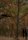 VampireDiariesWorld-dot-nl_TheOriginals4x13TheFeastOfAllSinners1674.jpg