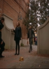 Filename=vampirediariesworld-dot-nl_TheOriginals5x13WhenTheSaintsGoMarchingIn00465.jpg
Filesize=207KiB
Dimensions=720x576
Date added=Nov 20, 2019 vampirediariesworld-dot-nl_TheOriginals5x13WhenTheSaintsGoMarchingIn00465.jpg