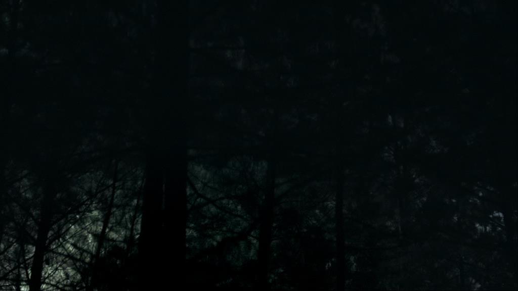 VampireDiariesWorld_dot_org-1x02TheNightOfTheComet00049.jpg