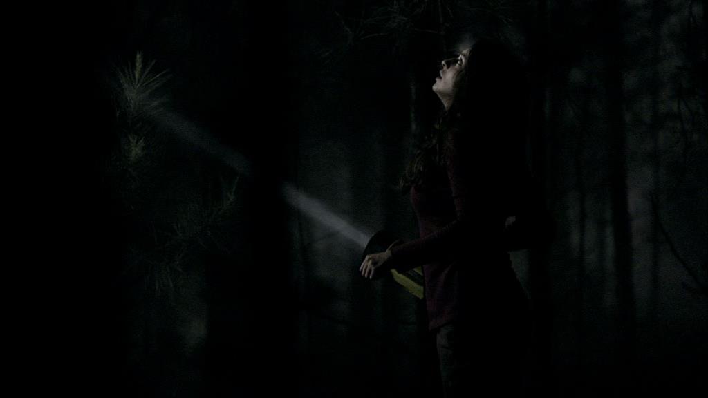 VampireDiariesWorld_dot_org-1x02TheNightOfTheComet00050.jpg