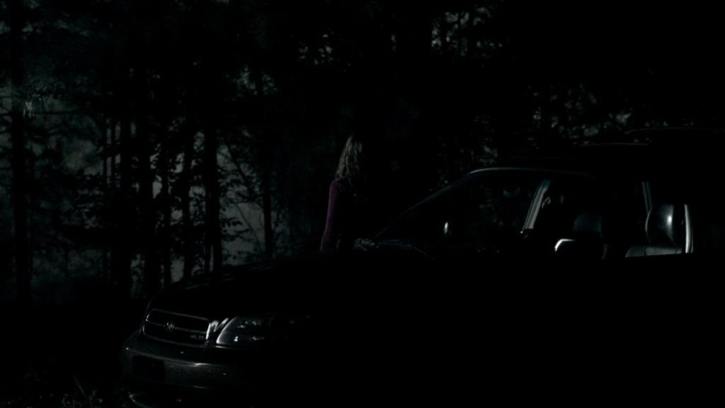 VampireDiariesWorld_dot_org-1x02TheNightOfTheComet00090.jpg