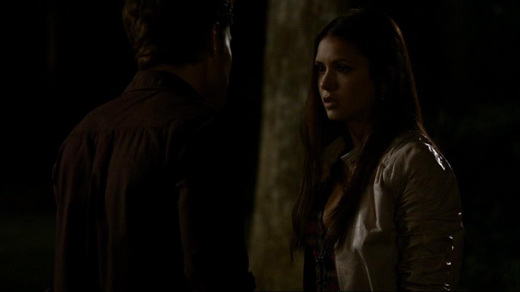 VampireDiariesWorld_dot_org-1x02TheNightOfTheComet02250.jpg