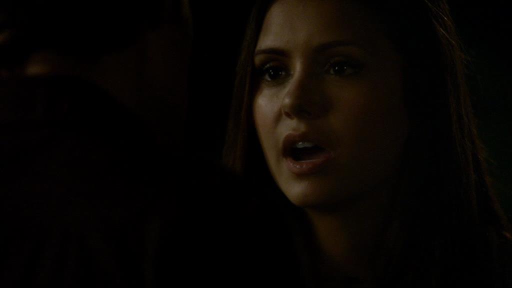 VampireDiariesWorld_dot_org-1x02TheNightOfTheComet02294.jpg