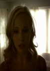 VampireDiariesWorld_dot_org-1x03FridayNightBites0076.jpg