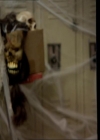 VampireDiariesWorld_dot_org-107Haunted0183.jpg