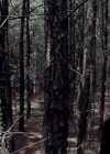 VampireDiariesWorld-dot-org_TVD-S1-SpecialFeatures_ADarkerTruthWebisodes_Captures00322.jpg