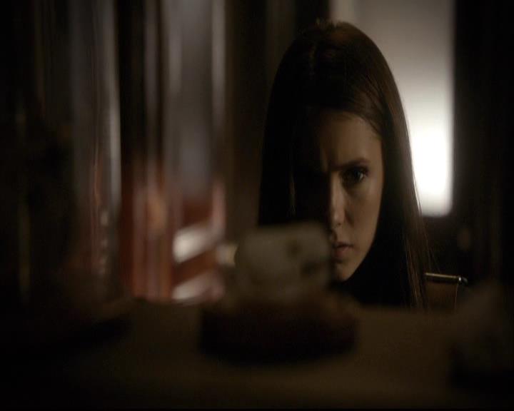 VampireDiariesWorld-dot-org_2x03BadMoonRising0650.jpg