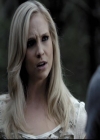 VampireDiariesWorld-dot-org_2x03BadMoonRising0825.jpg