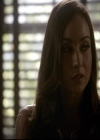 VampireDiariesWorld-dot-org_2x03BadMoonRising1135.jpg