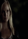 VampireDiariesWorld-dot-org_2x03BadMoonRising1214.jpg