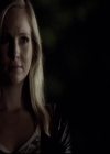 VampireDiariesWorld-dot-org_2x03BadMoonRising1217.jpg