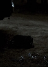 VampireDiariesWorld-dot-org_2x03BadMoonRising1980.jpg