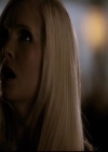 VampireDiariesWorld-dot-org_2x03BadMoonRising2094.jpg