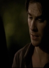 VampireDiariesWorld-dot-org_2x03BadMoonRising2159.jpg