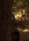 VampireDiariesWorld-dot-org_2x09Katerine0736.jpg